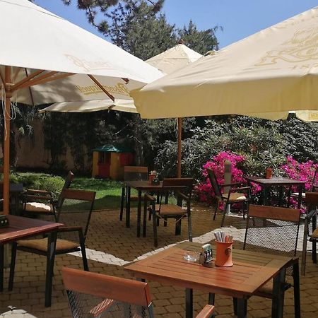 Hotel Tulipan Prŭhonice Dış mekan fotoğraf