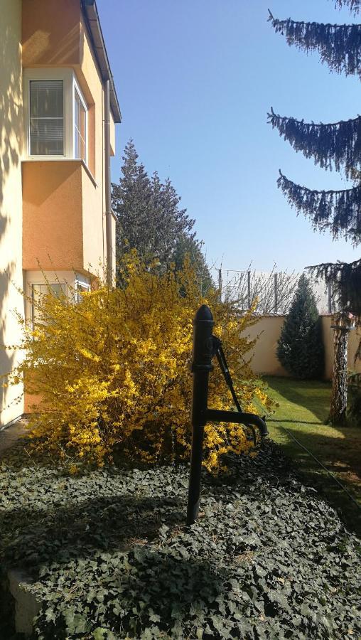 Hotel Tulipan Prŭhonice Dış mekan fotoğraf